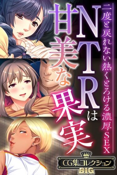 k187afrnt08738NTRは甘美な果実〜二度と戻れない熱くとろける濃厚SEX〜【CG集コレクションBIG】ーどこで読める！？